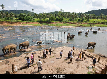 SRI LANKA Foto Stock