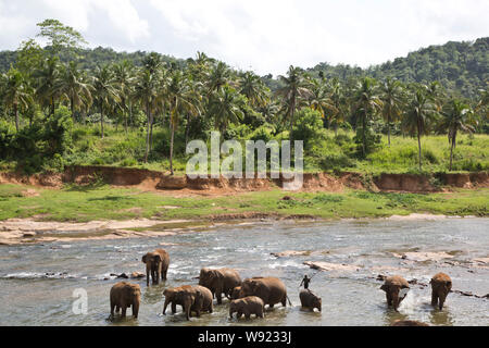 SRI LANKA Foto Stock