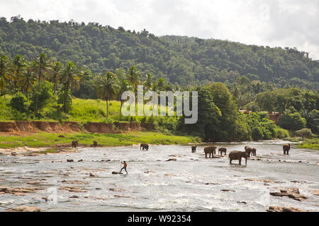 SRI LANKA Foto Stock