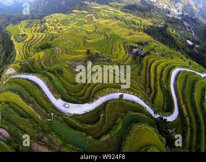 Una veduta aerea di campi terrazzati, un popolare spettacolo per appassionati di fotografia e i turisti in Xiaozhoushan county, Lishui, est Chinas nella provincia di Zhejiang, 12 Foto Stock