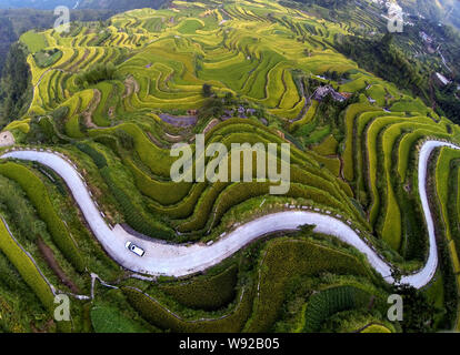 Una veduta aerea di campi terrazzati, un popolare spettacolo per appassionati di fotografia e i turisti in Xiaozhoushan county, Lishui, est Chinas nella provincia di Zhejiang, 12 Foto Stock