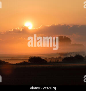 Sunrise sopra prati umidi e linee di alberi e cespugli, paesaggio rurale, il sole che splende su nebbia di mattina, Atmosfera mattutina piena di atmosfera. Foto Stock