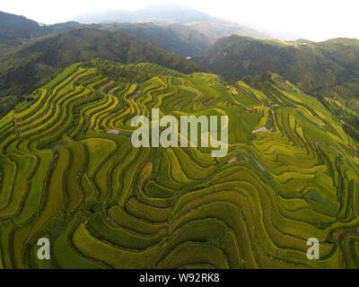 Una veduta aerea di campi terrazzati, un popolare spettacolo per appassionati di fotografia e i turisti in Xiaozhoushan county, Lishui, est Chinas nella provincia di Zhejiang, 12 Foto Stock