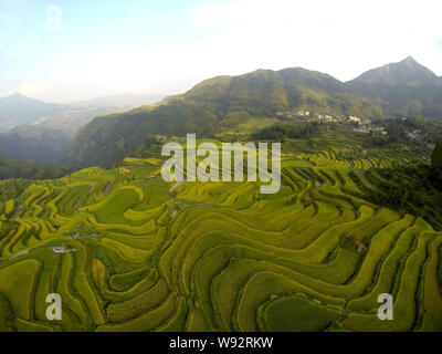 Una veduta aerea di campi terrazzati, un popolare spettacolo per appassionati di fotografia e i turisti in Xiaozhoushan county, Lishui, est Chinas nella provincia di Zhejiang, 12 Foto Stock