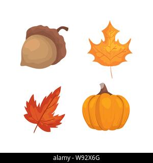 Set di dado e la zucca con le foglie delle piante Illustrazione Vettoriale
