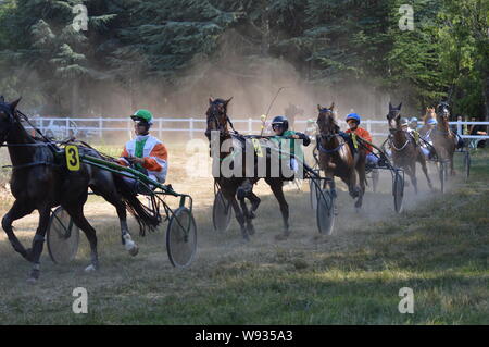 Agosto. 11. 2019 Hippodrome di Sault ( Sud della Francia, la sola corsa di cavalli nell'anno ) Foto Stock