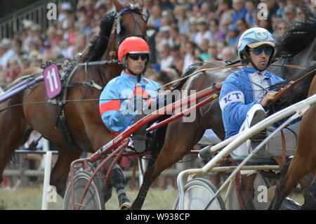 Agosto. 11. 2019 Hippodrome di Sault ( Sud della Francia, la sola corsa di cavalli nell'anno ) Foto Stock