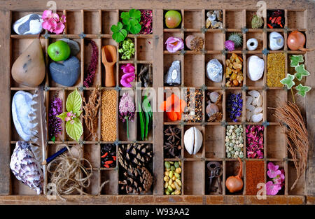 Vassoio in legno con giardino articoli correlati Foto Stock