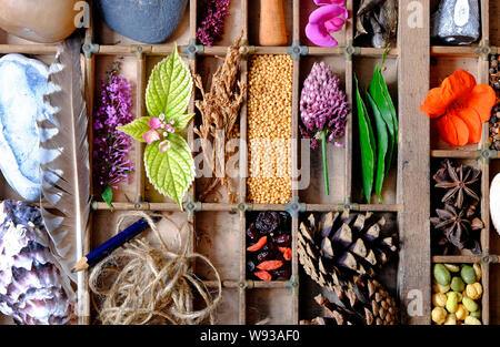 Vassoio in legno con giardino articoli correlati Foto Stock
