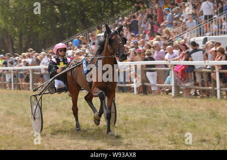 Agosto. 11. 2019 Hippodrome di Sault ( Sud della Francia, la sola corsa di cavalli nell'anno ) Foto Stock