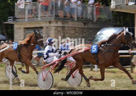 Agosto. 11. 2019 Hippodrome di Sault ( Sud della Francia, la sola corsa di cavalli nell'anno ) Foto Stock