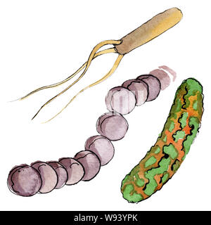 Microbo o mano di germe di annegare illustrazione. Acquerello set di sfondo. Microrganismo isolato illustrazione elemento. Foto Stock