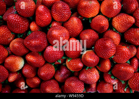 Fragole colombiane, fragole biologiche fresche raccolte in un mercato agricolo in Colombia, Sud America Foto Stock