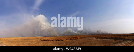 Un bushfire infuria attraverso le praterie del Katisunga Floodplain nel Katavi National Park. Foto Stock