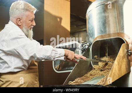 Vista dal lato del produttore professionale lavorando a beer manufacturing factory. Uomo che indossa una camicia bianca e grembiule di esaminare la qualità di grist nel serbatoio. Concetto di birreria e ale. Foto Stock