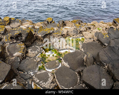 Giant's Causeway, famosa attrazione turistica dell'Irlanda del Nord, Regno Unito. Unico e ESAGONALE PENTAGONALE formazioni geologiche del basalto vulcanico rocce. Foto Stock