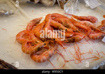 Gamberetti freschi sul ghiaccio nel mercato del pesce di Catania. Occupato famoso mercato del pesce fresco di Catania Foto Stock