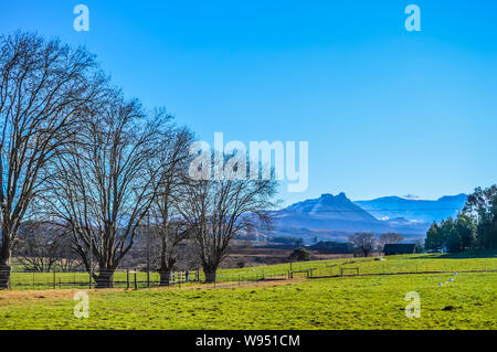 Picture Perfect Snow capped Drakensberg montagne e pianure verdi in Underberg vicino Sani Pass Africa Foto Stock