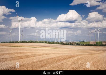 Tarda Estate fattorie e paesaggio di campagna. L'Austria, l'Europa. Foto Stock