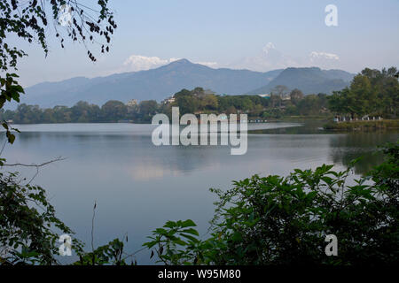 Phewa (Fewa) al di sotto del lago cime innevate della catena Hannapurna dell'Himalaya, Pokhara, Nepal Foto Stock