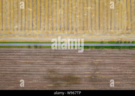 Vista aerea di campi di cereali dopo la mietitura. Vi è su strada e carreggiata del trattore. Foto Stock