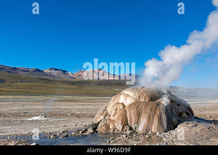 Sunrise a El Tatio geyser campo con tanti geyser, sorgenti calde e associati sinterizzare depositi, importante meta di turismo nel nord del Cile Foto Stock