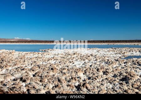 Lagunas Escondidas (HIDDEN GEMS) di Baltinache uno degli spot segreto del deserto di Atacama, lagune turchesi circondato da uno spesso strato di sale Foto Stock