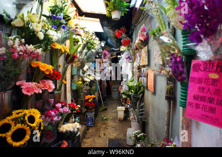 Un uomo anziano si prende cura di un negozio di fiori di Hong Kong, Cina, 1 luglio 2012. Chinas Consiglio di Stato, o l'armadio, annunciato a fine giugno misure volte a Foto Stock