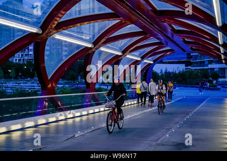 Pedoni, ciclisti, solo ponte di pace, il Fiume Bow, Calgary, Alberta, Canada Foto Stock