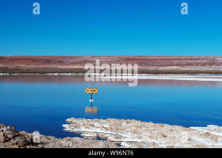 Lagunas Escondidas (HIDDEN GEMS) di Baltinache uno degli spot segreto del deserto di Atacama, lagune turchesi circondato da uno spesso strato di sale Foto Stock