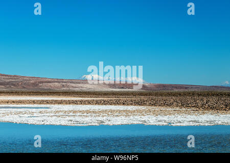 Lagunas Escondidas (HIDDEN GEMS) di Baltinache uno degli spot segreto del deserto di Atacama, lagune turchesi circondato da uno spesso strato di sale Foto Stock