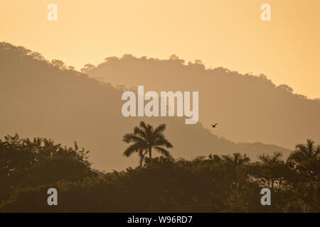 Tramonto sulla Sierra Los Tuxlas montagne in Catemaco, Veracruz, Messico. La regione è nota per il lago di acqua dolce al centro della Sierra de Los Tuxtlas, è una popolare destinazione turistica conosciuta per libero compreso le scimmie, la foresta pluviale sfondo e streghe messicano noto come Brujos. Foto Stock