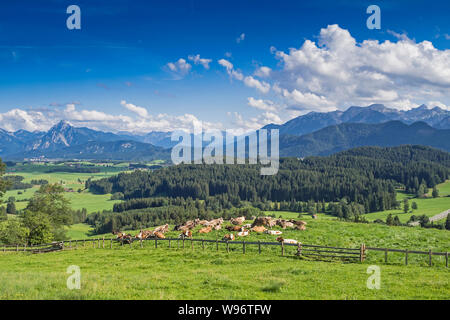 In Germania, in Baviera, Allgaeu, Eisenberg, vista panoramica di Tegelberg e Säuling mountain Foto Stock