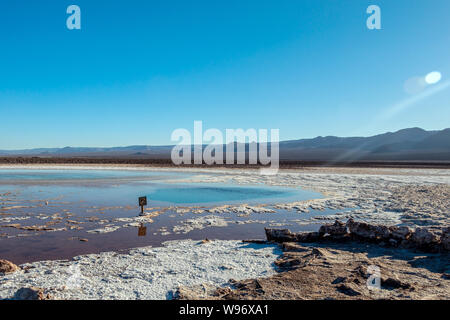 Lagunas Escondidas (HIDDEN GEMS) di Baltinache uno degli spot segreto del deserto di Atacama, lagune turchesi circondato da uno spesso strato di sale Foto Stock