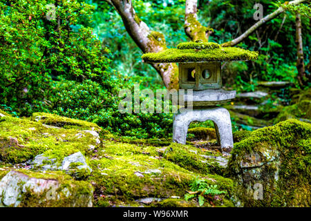 Lanterna di pietra ricoperta con moss al giardino giapponese in St Mawgan, Cornwall, Regno Unito Foto Stock