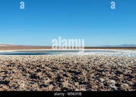 Lagunas Escondidas (HIDDEN GEMS) di Baltinache uno degli spot segreto del deserto di Atacama, lagune turchesi circondato da uno spesso strato di sale Foto Stock