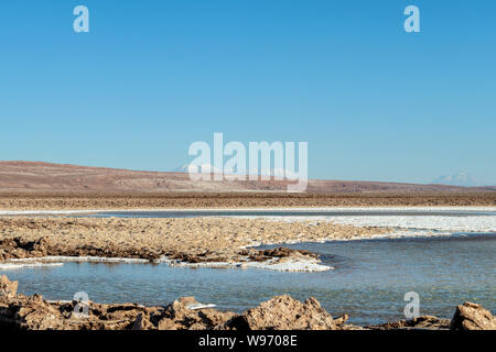 Lagunas Escondidas (HIDDEN GEMS) di Baltinache uno degli spot segreto del deserto di Atacama, lagune turchesi circondato da uno spesso strato di sale Foto Stock