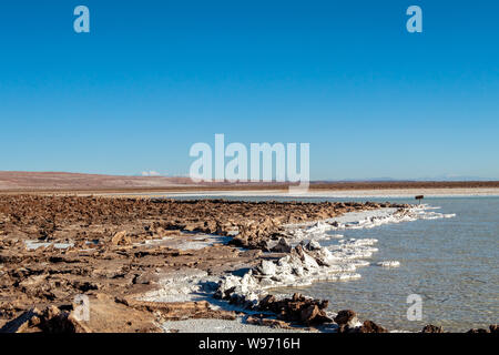 Lagunas Escondidas (HIDDEN GEMS) di Baltinache uno degli spot segreto del deserto di Atacama, lagune turchesi circondato da uno spesso strato di sale Foto Stock