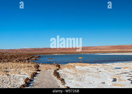 Lagunas Escondidas (HIDDEN GEMS) di Baltinache uno degli spot segreto del deserto di Atacama, lagune turchesi circondato da uno spesso strato di sale Foto Stock