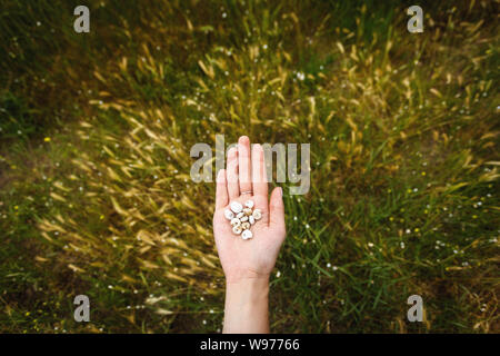 Lumache in una femmina di palm su uno sfondo di erba. Concetto Ecologico. Foto Stock