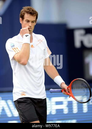 Andy Murray della Gran Bretagna morde il suo dito come egli compete contro Radek STEPANEK: risultati nei della Repubblica ceca nella loro quarterfinal match del mens singles durante Foto Stock