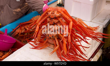 I granchi di neve nel mercato Jumunjin, Corea Foto Stock