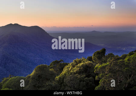 Antico continente Gondwana rainfores intorno Dorrigo plateau Dorrigo nel parco nazionale di Australia presso sunrise contro il cielo rosa da elevati lookout pl Foto Stock