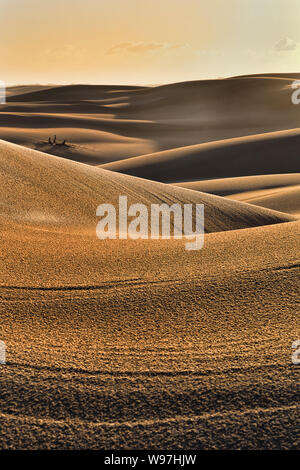Aridi deserti esanime dune di sabbia al tramonto sotto giallo caldo sky frammentato per astratta patch verticale di onde di sabbia, cadute e urti. Foto Stock