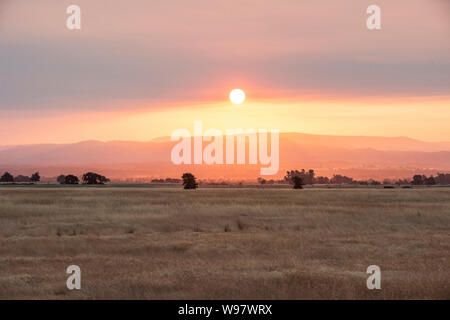 Il fumo proveniente da incendi colori sunrise su Sierra Nevada vicino a Palermo, California Foto Stock
