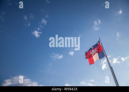 Ville de Lyon stemma della città su una bandiera rinuncia davanti alla bandiera francese a Lyon, Francia. Questi sono lo storico simbolo araldico della città, dat Foto Stock