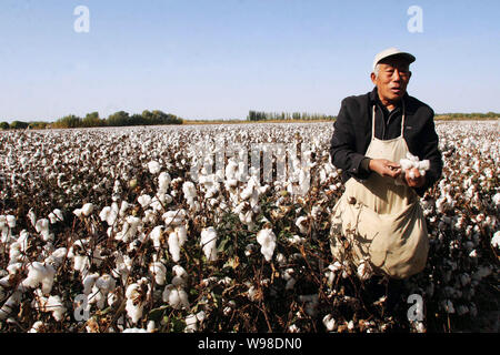 --FILE -- un agricoltore cinese il raccolto del cotone nel suo campo in città Alaer, Northwest Chinas Xinjiang Uygur Regione autonoma, 29 ottobre 2010. La Cina sarà Foto Stock