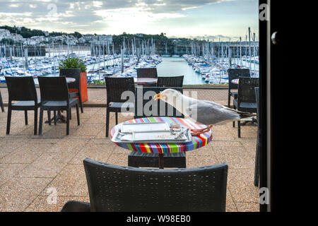 Un gabbiano su un ristorante tavolo da pranzo a mangiare pasticcini a sinistra su un vassoio per alimenti. Bella vista del porto di mare che si affaccia su un porticciolo dal ristorante. Foto Stock