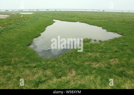 I piccoli stagni sono illustrati in una prateria dove usato per essere acqua area del Lago Dongting durante una siccità che ha colpito la città di Yueyang, porcellane centrale nella provincia del Hunan, Foto Stock