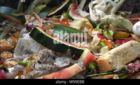 Composter. Domestico rifiuti organici. Ridurre i rifiuti. Pile di compostaggio in back yard a rompersi e a cose come gli avanzi di cibo, ortaggi e frutta Foto Stock